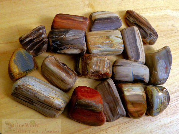 versteinertes Holz Australien Trommelstein, 200g Pack